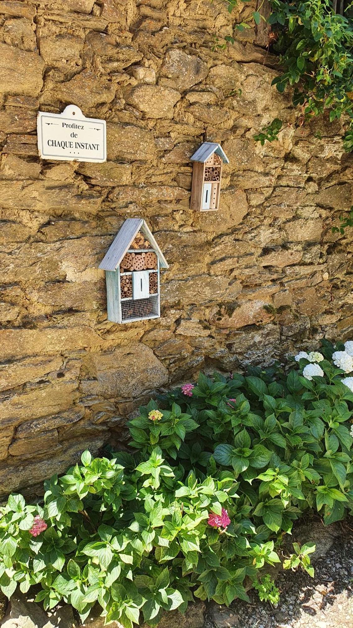 La Ferme Des Andes - Gite L'Atelier Quins Exterior foto