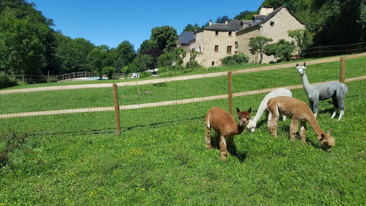 La Ferme Des Andes - Gite L'Atelier Quins Exterior foto